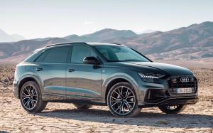 Audi Q8 55 TFSI Quattro S-Line 2018 года (WW)